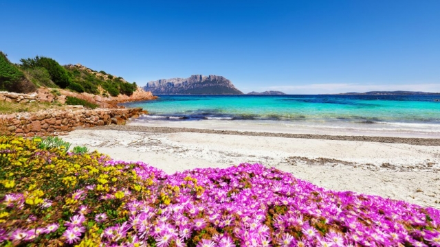  sardinia 