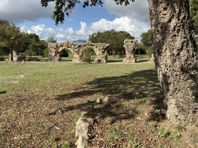  tour of the archaeological sites 