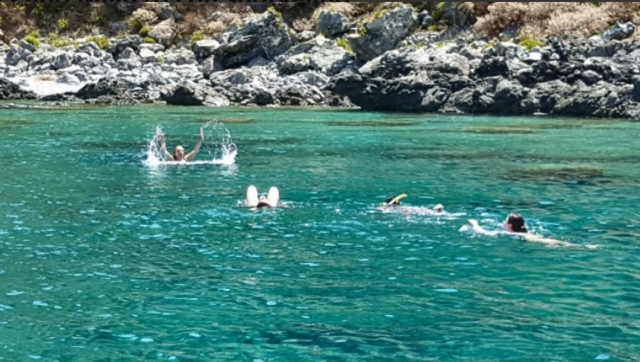  snorkel 