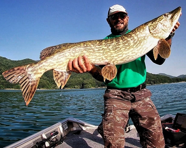  guia de pesca 