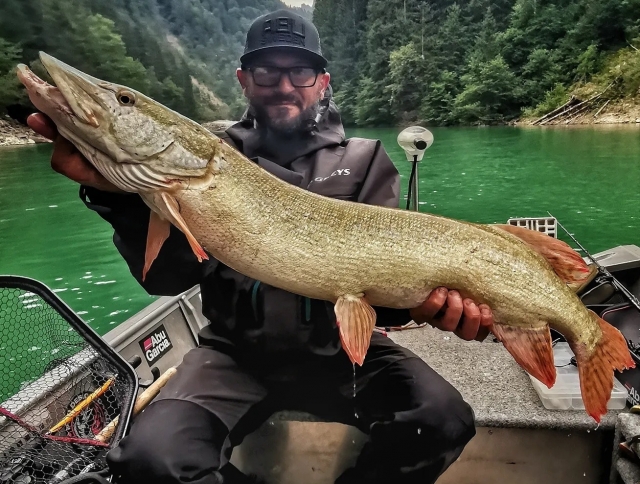  pesca del lucio 