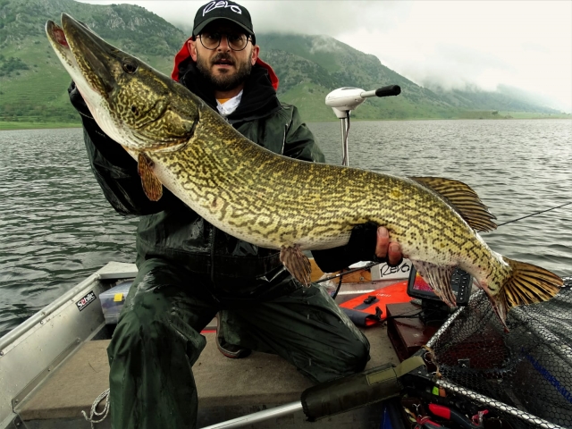  pesca en el lago 