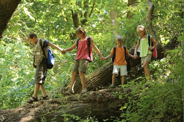 parco avventura tra amici