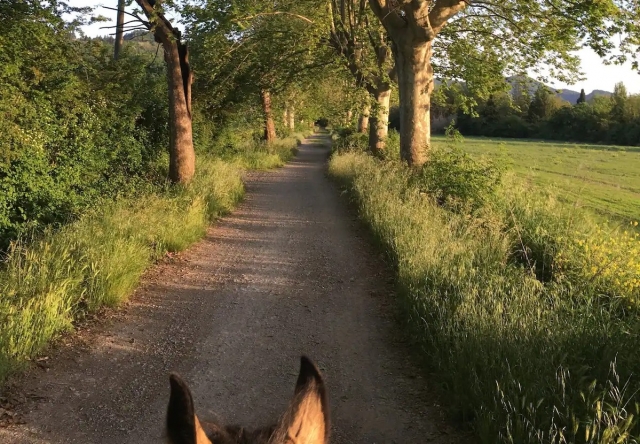  Reiten 
