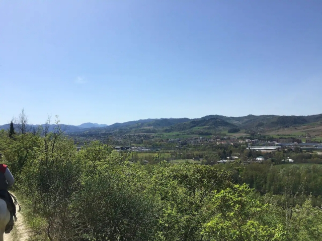  Blick vom Pferd 