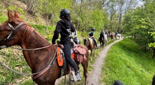 Panoramic horseback tour on the Bolognese hills 2h