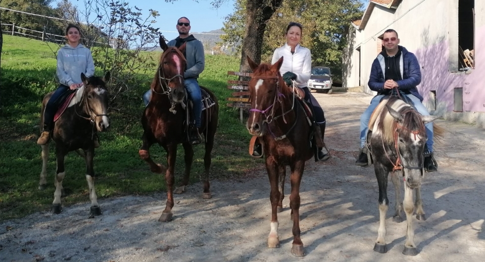 亲密的团体   亲密的团体