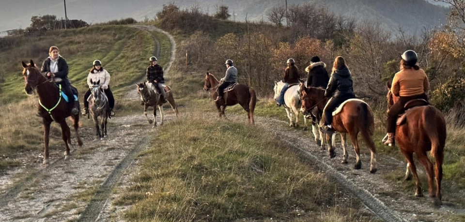 日落时散步   日落时散步