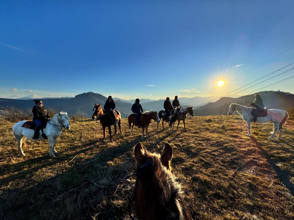 博洛尼亚的山丘  博洛尼亚的山丘