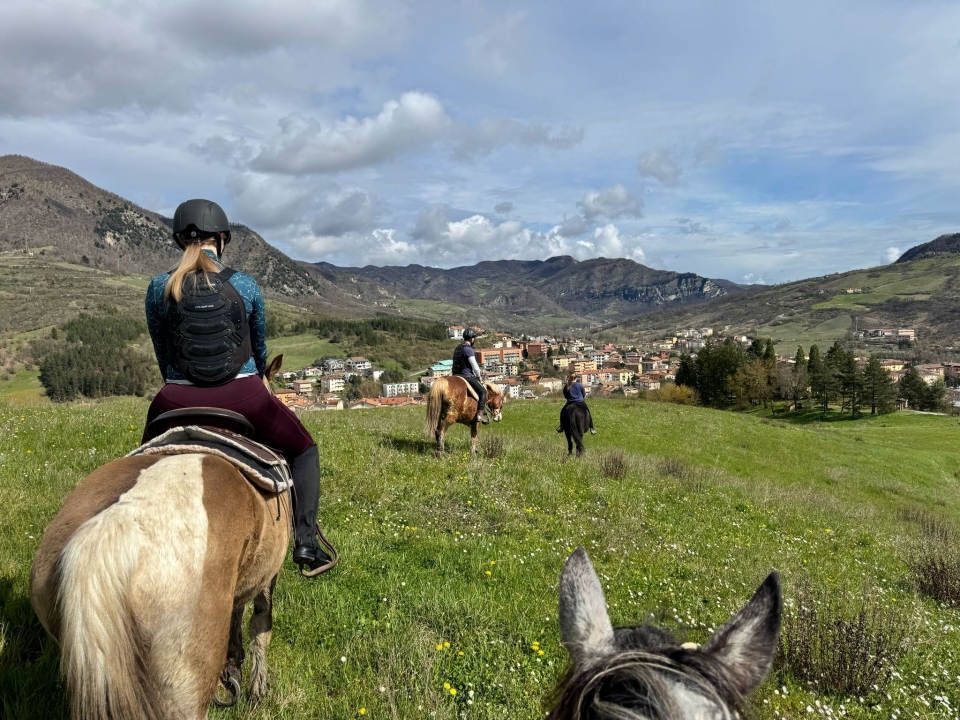 欣赏大自然   欣赏大自然
