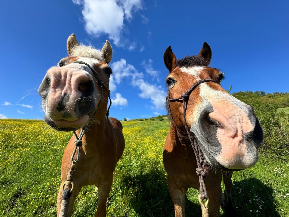 我们的标本  我们的标本