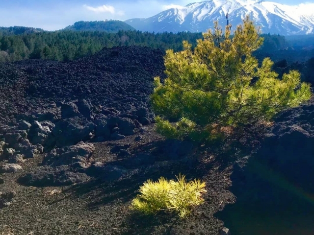埃特纳火山的风景 