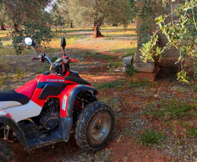 kommen Quad mit uns 