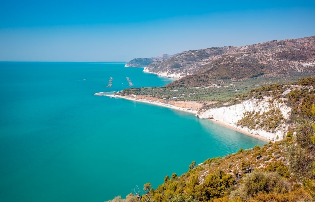  Gargano 