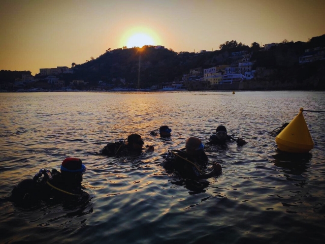  Diving at sunset 