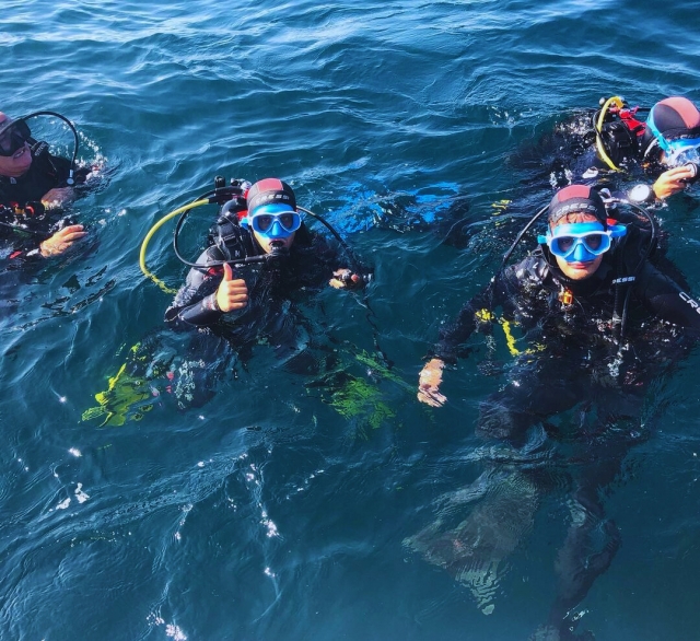 Time to dive 