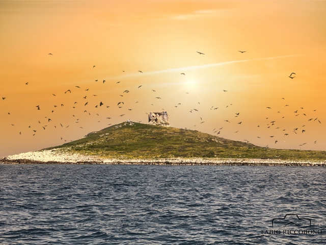  île féminine