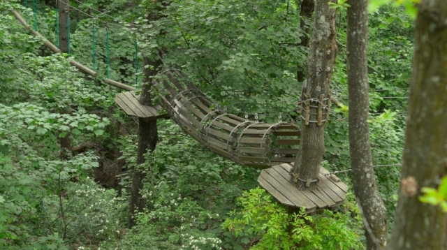 木制隧道