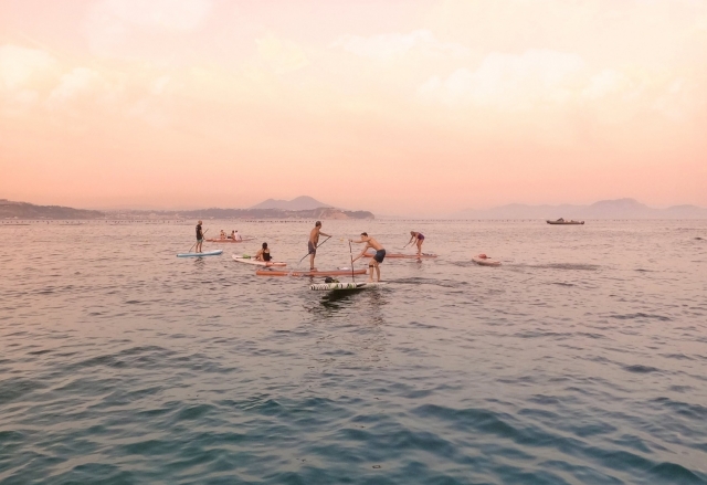  pink horizon 