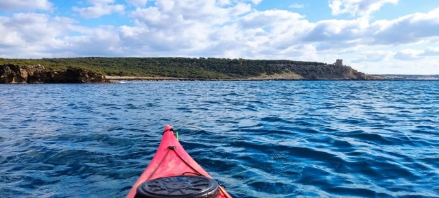  Paseo en kayak por las aguas cristalinas 