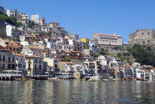  scilla