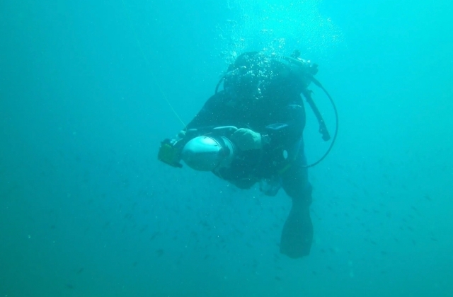  diving 