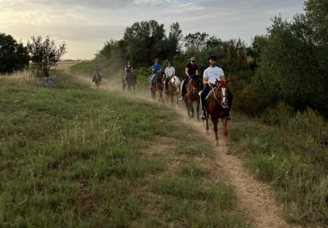  paseos a caballo 