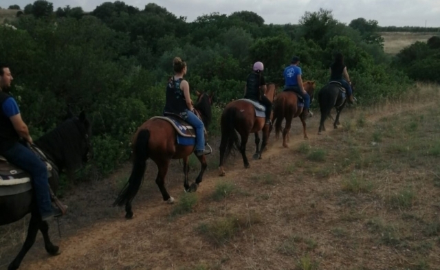  divertirse a caballo 
