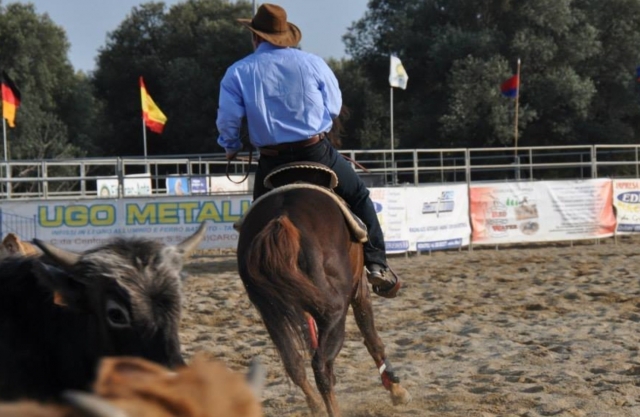  zu Pferd 