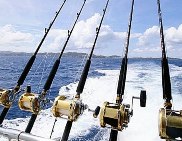  activités de pêche