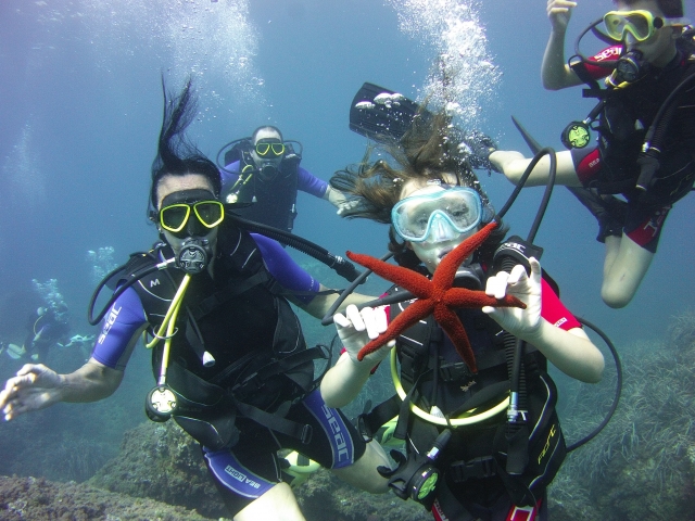  open water diver 