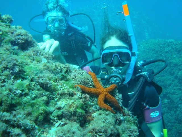  marine fauna 
