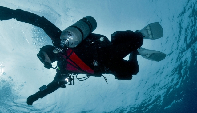  immersion 