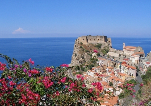  Scilla 