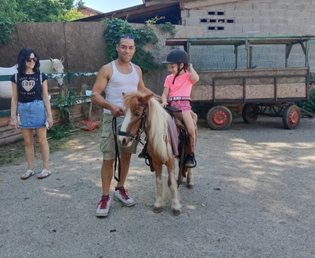  lecciones de pony