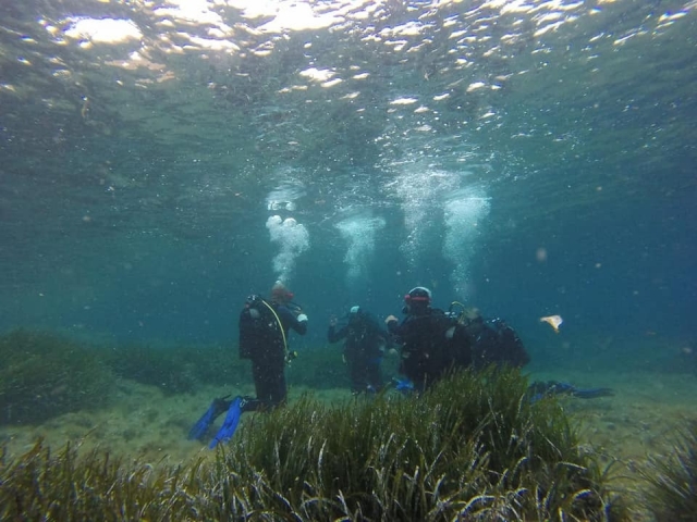 Unter Wasser versuchen wir einander zu verstehen 