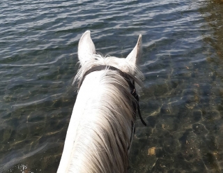 Tour Horse Beach S.Lorenzo New Aperitif 3h