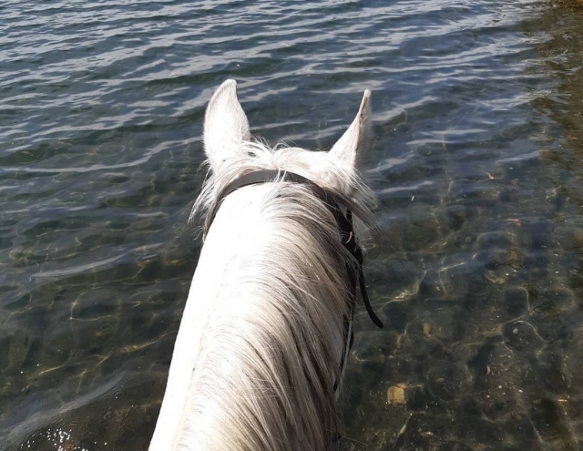 Tour cavallo spiaggia S.Lorenzo Nuovo aperitivo 3h