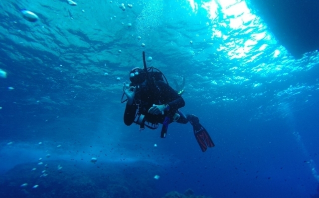  plongée sous-marine 