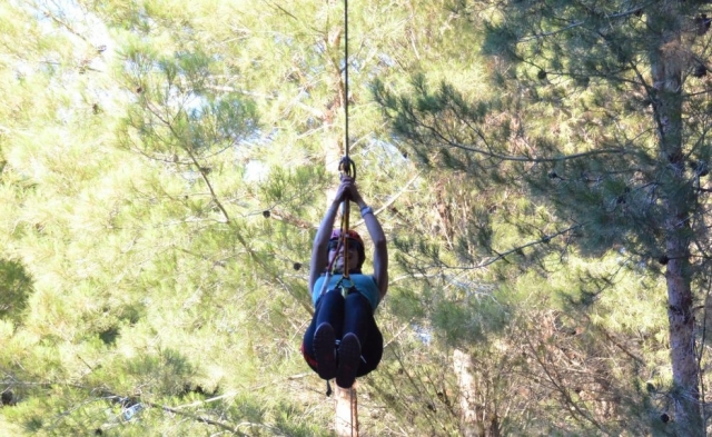  Attention Tarzan ! 