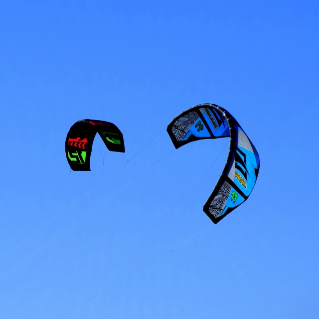  The kites 