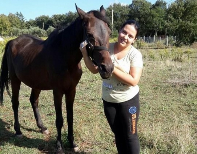  Connaître le cheval 