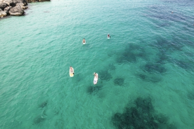  Surfen auf Sup 