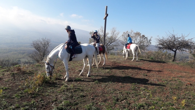 Passeggiata a cavallo sull'Etna di 1 ora