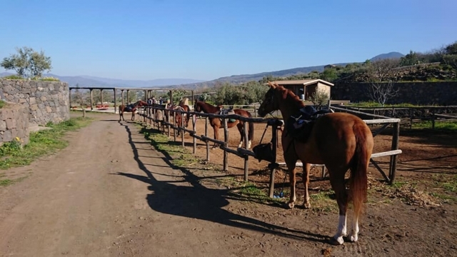  Las caballerizas