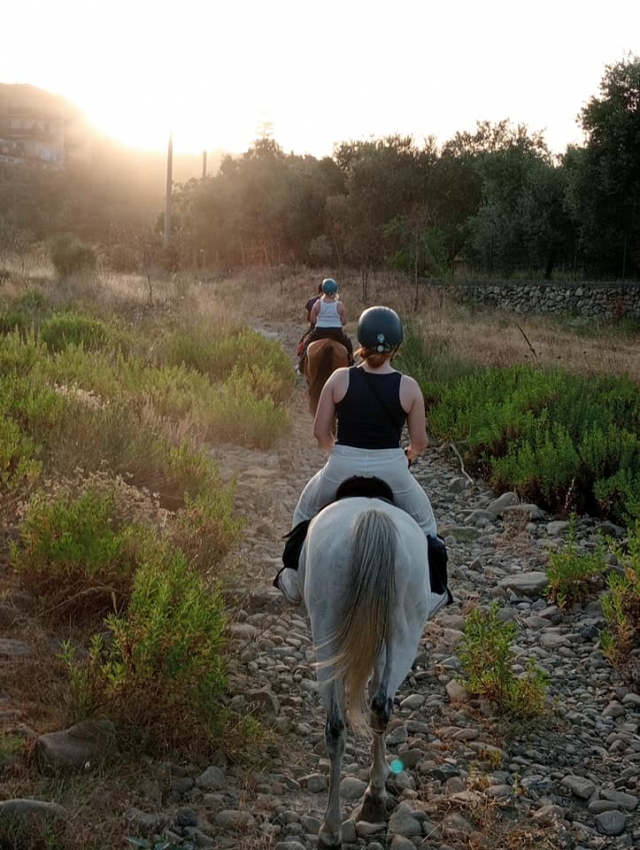 Passeggiata a cavallo sull'Etna di 2 ore