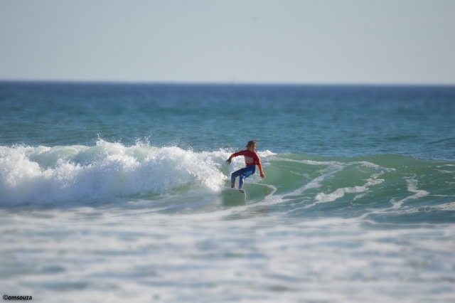 Surfer 