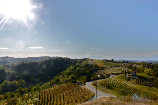  Die Langhe im Herbst