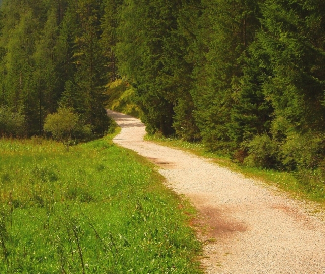  Der Weg 