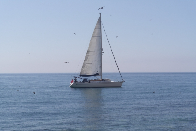 Le voilier 